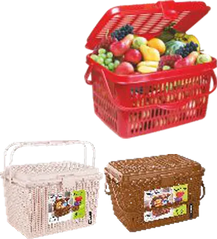 Nayasa Carry On Basket — Baskets