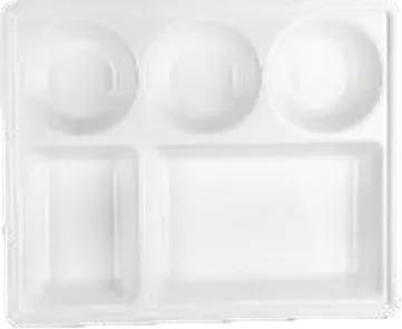 Nayasa Dinner Partition Plate — Microwave Safe Plates & Bowls