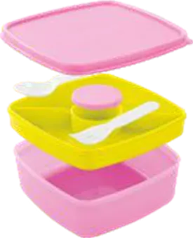 Nayasa Double Decker Lunch Box — Plastic Lunch Boxes Non Insulated