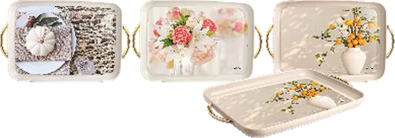 Nayasa Prosper Tray Set — Serving Trays