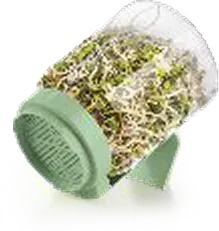 Nayasa Sprout Marker — Strainer Baskets
