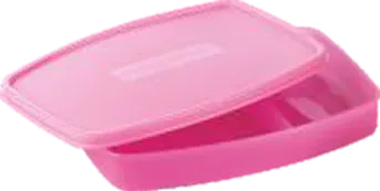 Nayasa Witty — Lunch Boxes